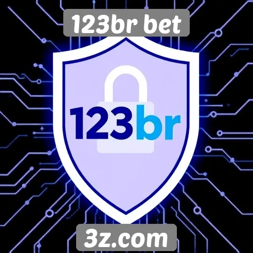 Segurança e privacidade no site 123br bet